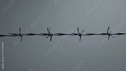 Wallpaper Mural barbed wire against a neutral gray background, evoking feelings of confinement and restriction. Torontodigital.ca