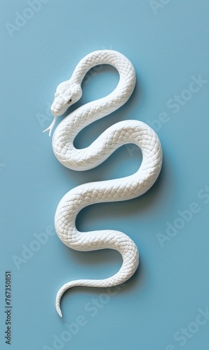An albino snake is coiled on a blue background