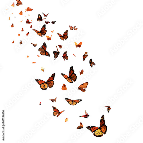 A flock of butterflies on a transparent background PNG