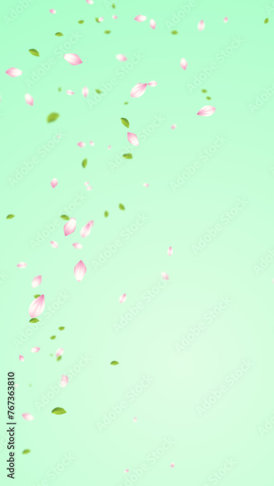 vertical spring flower petals and leaves, cherry blossoms particles on green gradient social media background vertical spring flower petals and leaves, cherry blossoms particles on green gradient social media background