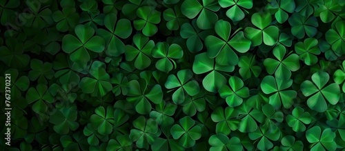 small clover leaf background photo