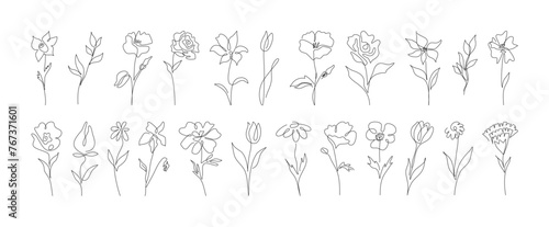 Set of hand drawn one line abstract flower, wedding herb, leave, wildflower for logo or tattoo. Minimal line art drawing for print, cover. Vector illustration 