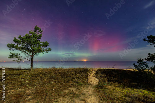 Northern lights over the Baltic Sea beach in Gdansk Sobieszewo with single pine tree, Poland. © Patryk Kosmider