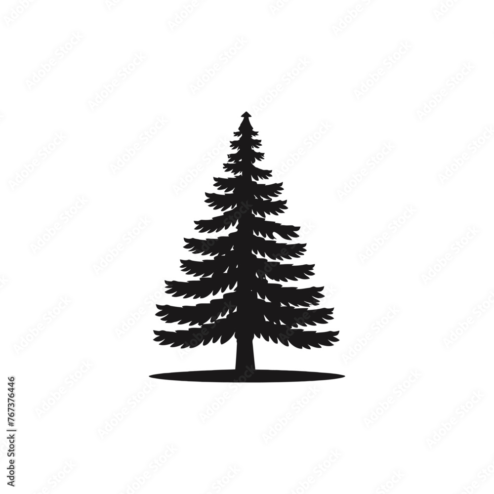 Obraz premium silhouette of pine tree 