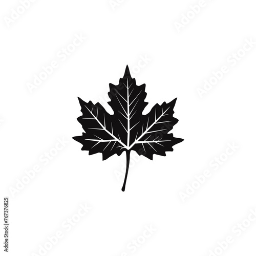 silhouette of maple leaf

