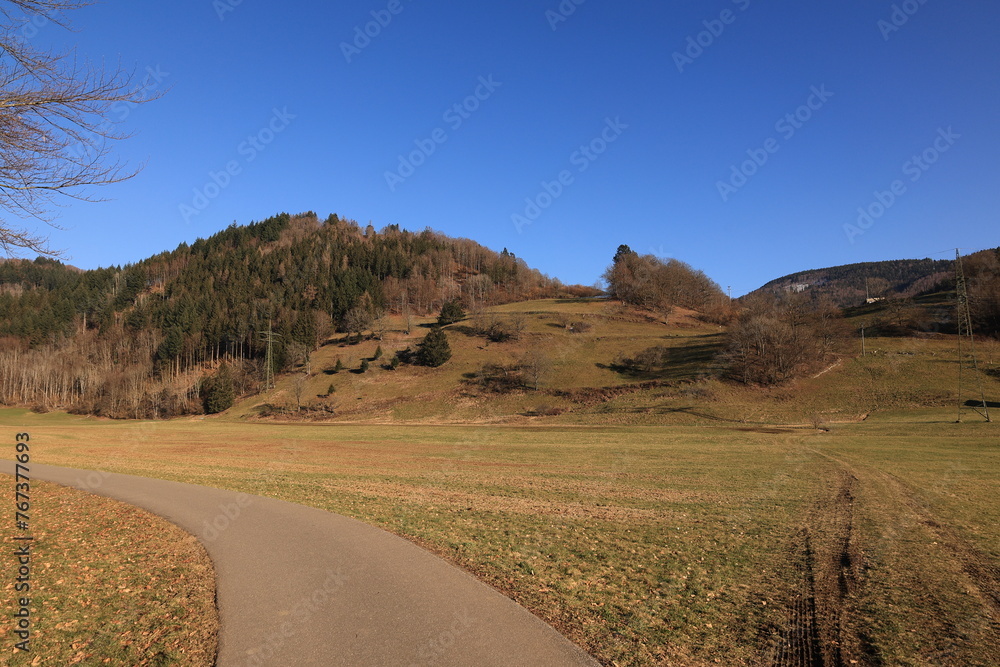 Blick auf die Naturlandschaft des Schwarzwaldes in der Nähe der Stadt Schönau	