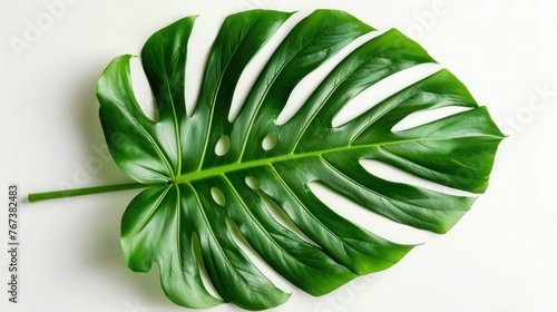 Monstera Deliciosa Leaf on White Background Mockup - Tropical Greenery for Interior Design or Botanical Illustrations