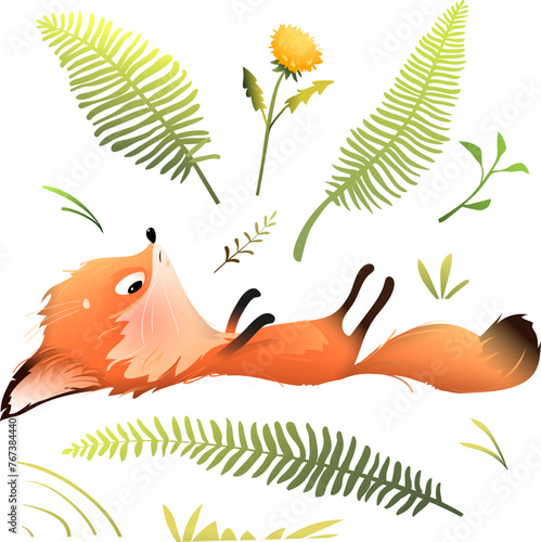 Funny cute fox laying on its back in the forest. Illustrated hilarious character for kids. Playful and mischief fox cartoon and forest nature. Isolated vector clipart for children in watercolor style.