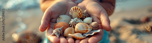  Close-up of a kid s hands holding a collection of colorful summer shells treasure of vacation