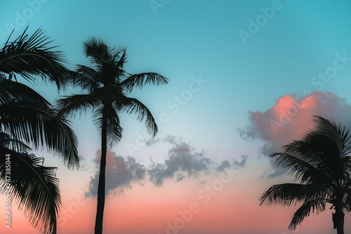 Beautiful vivivd colored sky with silhouettes of palm trees in the foreground. 