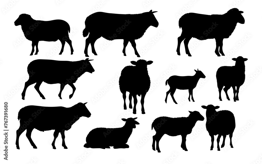 Set of a Sheep  silhouette vector