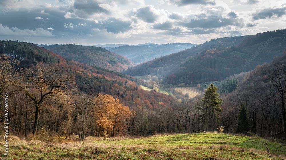 palatinate forest, trees, mountains, rocks,  Nature park and biosphere reserve, rivers hiking, hiker, 16:9