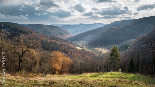 palatinate forest, trees, mountains, rocks, Nature park and biosphere reserve, rivers hiking, hiker, 16:9