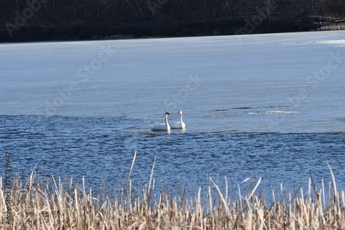 boat on the lake