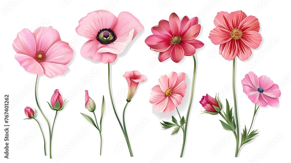 flower set isolated on white background stock illustration use in ...