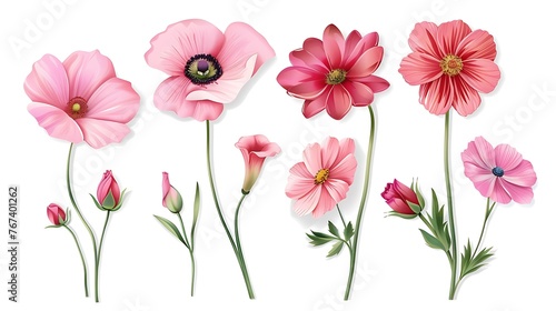 flower set isolated on white background stock illustration use in banner social media post and cards. Generative Ai © mahaart