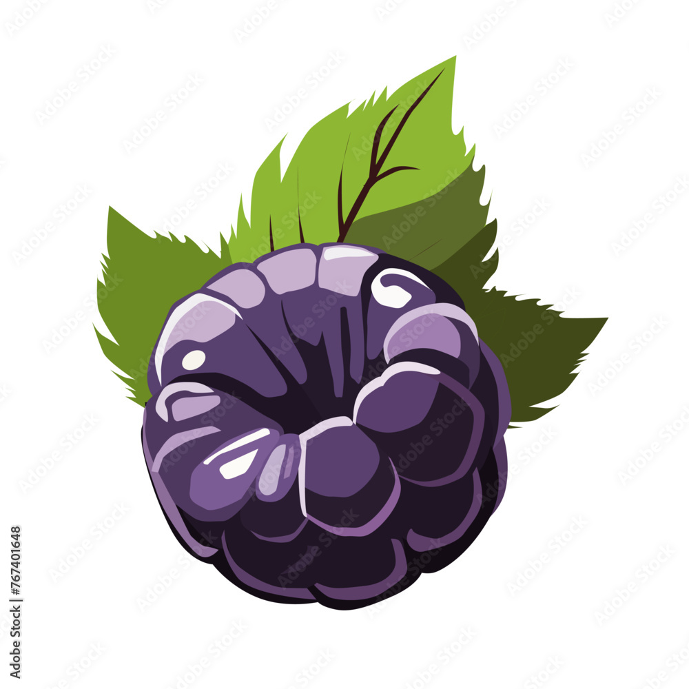 Obraz premium juicy blue blackberry on white background. Isolated vector summer berries in flat style