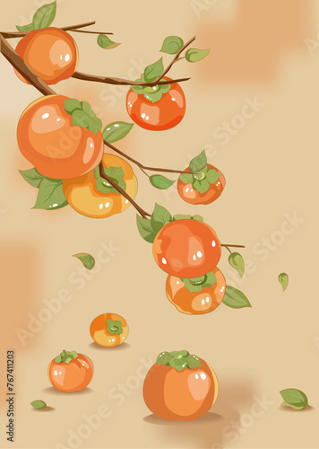 Persimmon branch. Beautiful vector illustration on the theme of nature, fruits, botany. Bright fruits. Can be used for product decoration, banner and much more. 