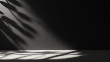 Abstract studio black background for product presentation. Empty room with shadows of window and flowers and palm leaves . 3d room with copy space. Summer concert. backdrop. beauty product placement.