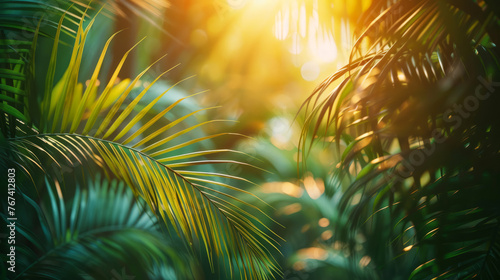 tropical nature for background,