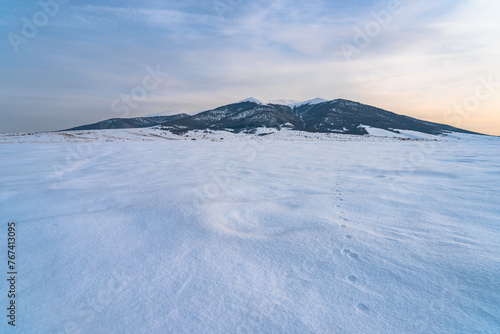 Winter landscape, open winter scene