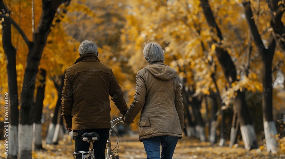 Generative AI : Rear view couple senior walked happily holding hands in ...