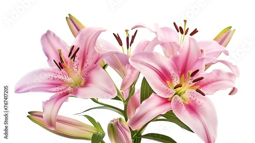 Generative AI   Pink lily flower bouquet isolated on white background for card and decoration