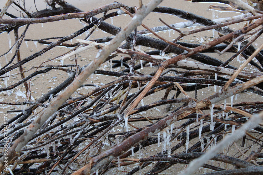 Ice Branches Ice Branches