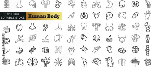 Human Body Line Editable Icons set. Vector illustration in modern thin line style of human anatomy icons: organs, body parts, skeleton parts, Pictograms and infographics for mobile. Isolated on white