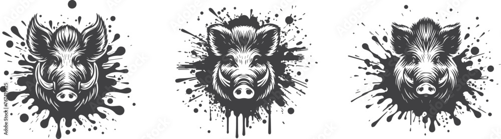 wild boar heads in paint splash - obrazy, fototapety, plakaty 