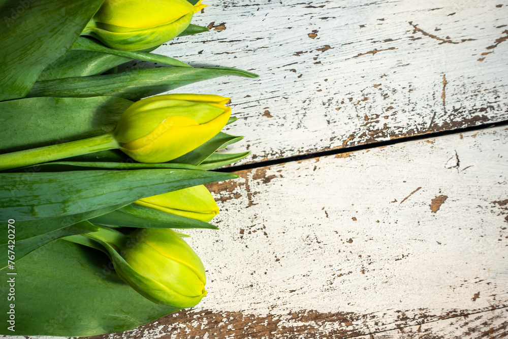 Unopened yellow tulips lying on a table made of white, aged wooden boards. Photo taken in natural, soft lighting