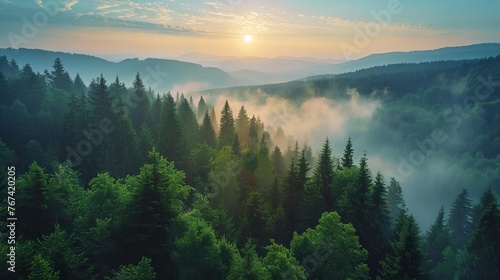 Misty forest landscape with sunrise and mountain range in the distance
