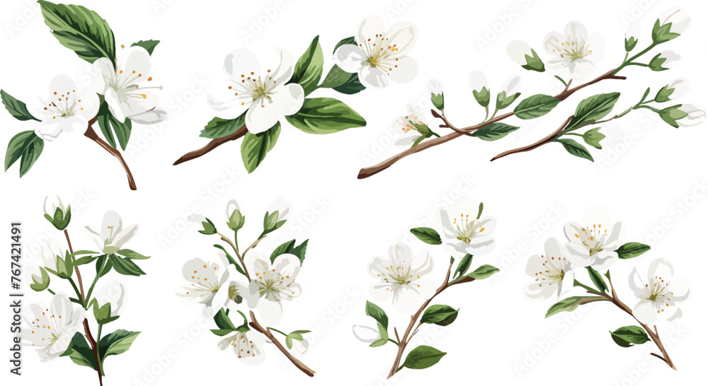 Set of Watercolor white cherry blossoms blooming elements. White cherry green leaves branch, and stem isolated on dark background. Suitable for decorative invitations, posters, or cards - obrazy, fototapety, plakaty 
