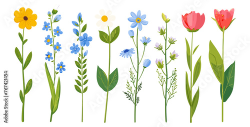 春の花。漫画の野生の花カモミール、チューリップ、忘れな草、ヤグルマギクとセージの葉、花の植物要素。庭の花のベクトルを設定