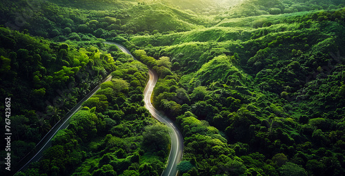 aerial shot, winding road in the forest 