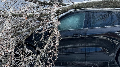 Ice Storm Damage: Large Branch Falls on Car Roof