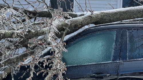 Freezing Rain Laden Fallen Tree on Parked Car