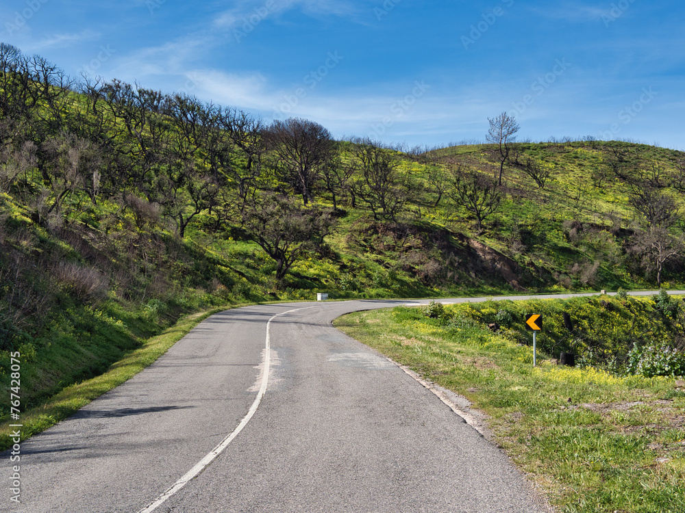 Seasonal Transition: Road Through Charred Cork Oak Hills to Blooming Fields