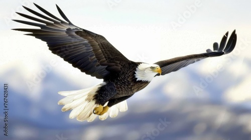  a bald eagle soaring through the air with mountains in the backgrouds of the sky in the background.