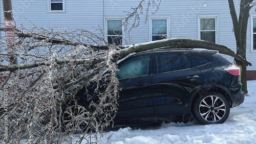 Fallen Tree Branch from Ice Storm on Automobile Roof 