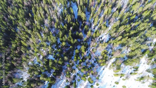 Green trees in a winter woods landscape. Aerial footage.  photo