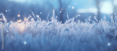 A field of frosted grass with some snow on it. Generative AI. © serg3d