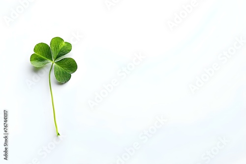 Green Four-Leaf Clover on a White Background: Ideal for St Patrick's Day Greeting Cards. Concept St Patrick's Day, Four-Leaf Clover, Greeting Cards, Green Background, Festive Design