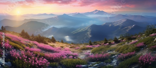 The natural landscape features mountains in the background, with flowers and plants in the foreground. The sky is clear with a few clouds, creating a picturesque view