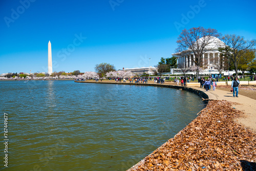 Valokuva View of the Washington Monument, Tidal Basin and cherry blossom trees in spring, Washington D