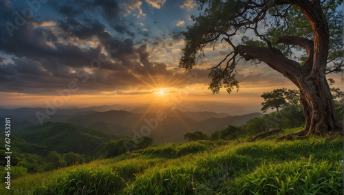 Stunning Nature Photography  Capturing the Beauty of Sunrise  Sunset  Mountains  Spring  and Summer in one place