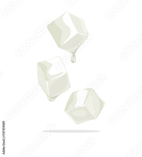 Vector illustration, nata de coco, isolated on white background.