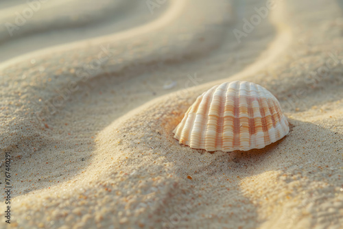 Seashell on a sandy beach. Generative AI © barmaleeva