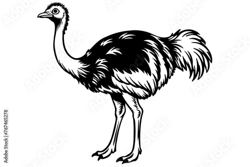 ostrich silhouette vector illustration