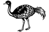 emu silhouette vector illustration